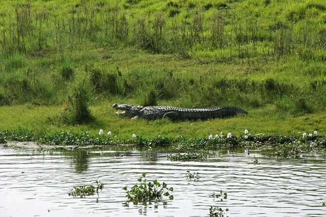 Kathmandu 2 Nights 3 Days Chitwan Jungle Safari Tour - An In-Depth Look at the Kathmandu 2 Nights 3 Days Chitwan Safari