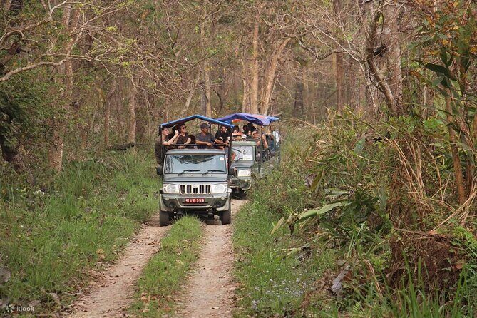 Kathmandu 2 Nights 3 Days Chitwan Jungle Safari Tour - Final Thoughts