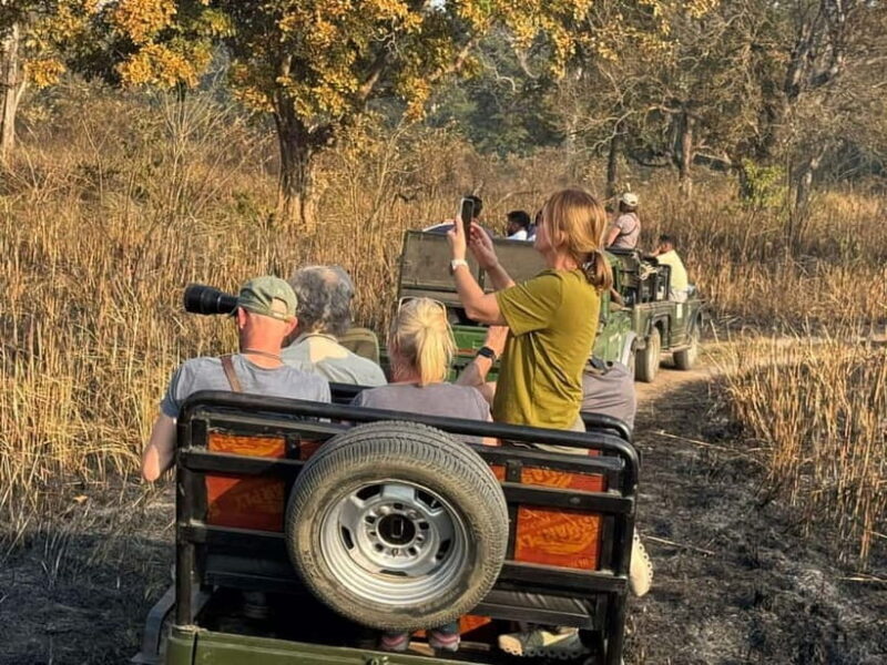 Kathmandu: 3-Day Chitwan Safari Tour with Hotel Transfers - Why This Tour Offers Great Value
