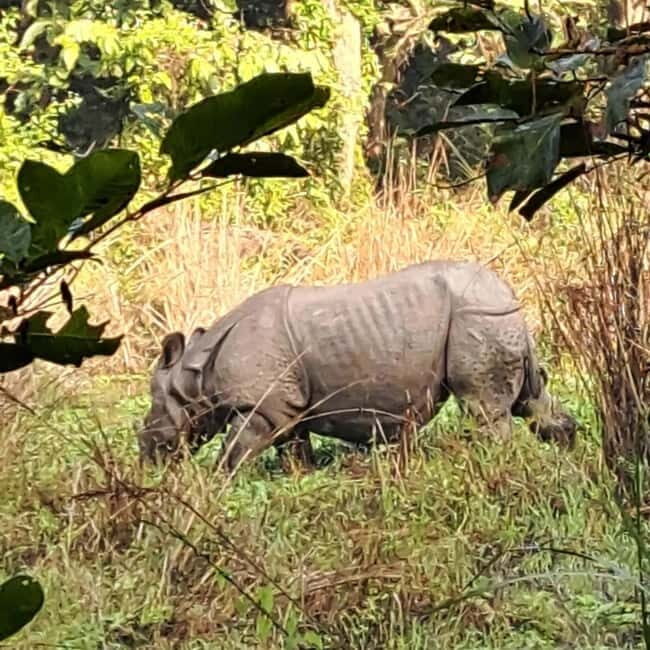 Kathmandu: 3-Day Chitwan Safari Tour with Hotel Transfers - FAQs