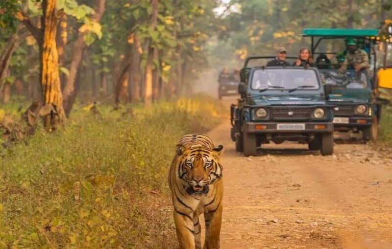 Kathmandu: 4-Day Private Chitwan National Park Safari Tour - Introduction