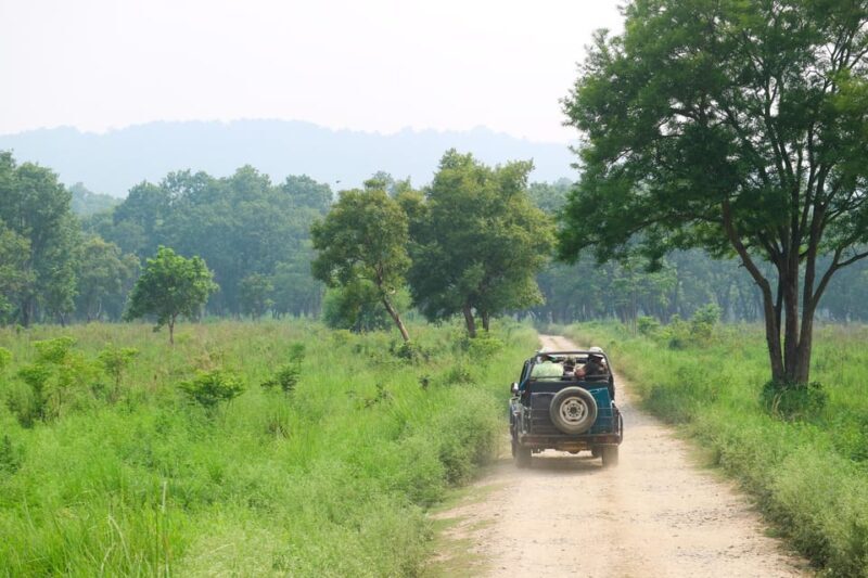 Kathmandu: 4-Day Private Chitwan National Park Safari Tour - Who Is This Tour Best For?