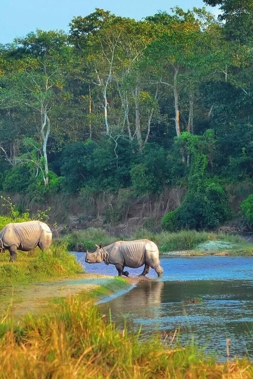 Kathmandu: 4-Day Private Chitwan National Park Safari Tour - The Sum Up