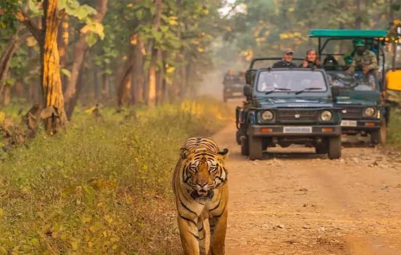 Kathmandu: 4-Day Private Chitwan National Park Safari Tour - FAQs