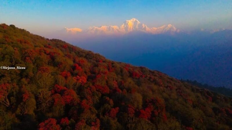Kathmandu: 7-Day Annapurna Base Camp Via PoonHill Hot Spring - Transportation and Logistics: Why They Matter