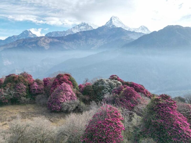 Kathmandu: 7-Day Annapurna Base Camp Via PoonHill Hot Spring - Accommodation and Meals: Comfort in the Mountains