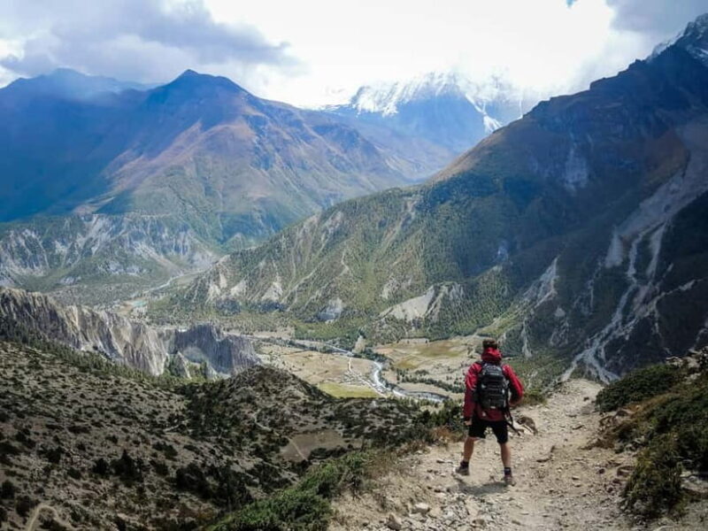 Kathmandu: Annapurna Base Camp Trek with Guide & Meals - Analyzing the Experience: Is It Worth It?
