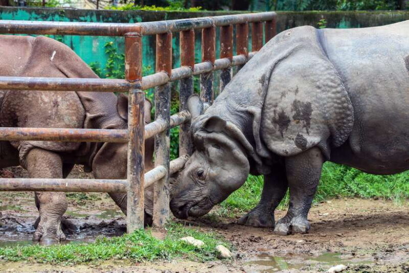 Kathmandu: Central Zoo Tour - Kathmandu: Central Zoo Tour - A Detailed Look at Nepal’s Urban Wildlife Escape