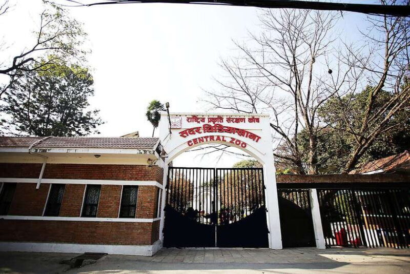 Kathmandu: Central Zoo Tour - Exploring Kathmandu’s Central Zoo: What to Expect