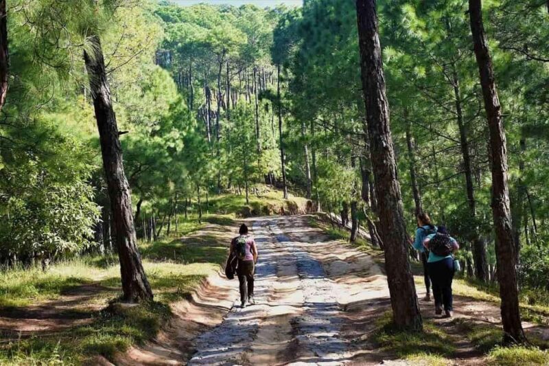 Kathmandu: Champadevi Hill Guided Hike with Pickup - Key Points