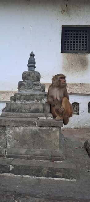 Kathmandu: Chandragiri cable car & Swayambhunath Tour - The Guide and Reviews
