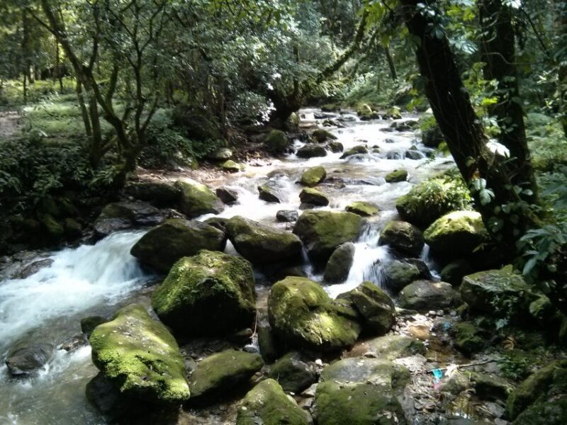 Kathmandu: Chisapani Nagarkot 3-Days 2-Nights Trek - Key Points