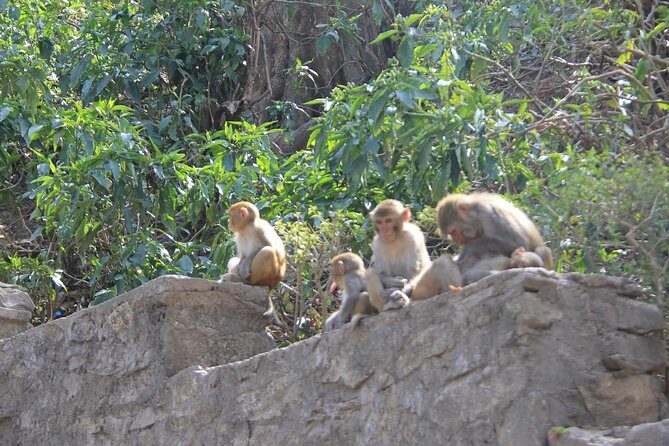 Kathmandu Day Tour - Final Thoughts