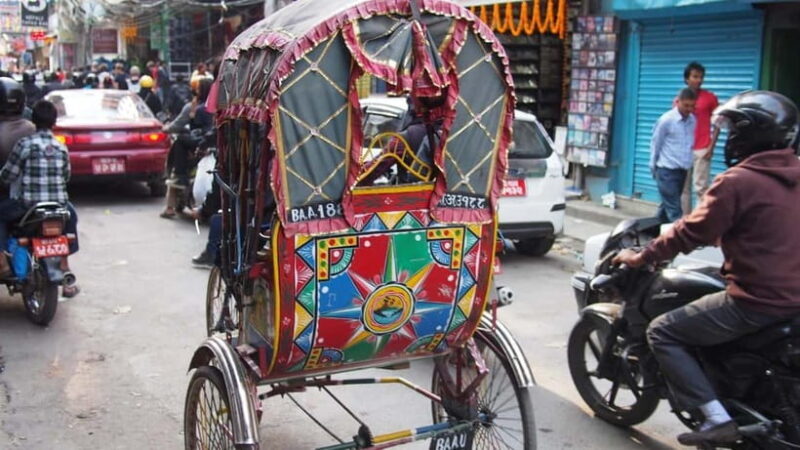 Kathmandu: Half-Day Heritage Rickshaw Tour of Old City - An Overview of the Rickshaw Tour Experience