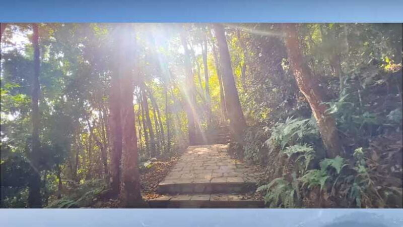 Kathmandu: Jamacho, 4 hours hiking near thamel - The experience provider and booking flexibility