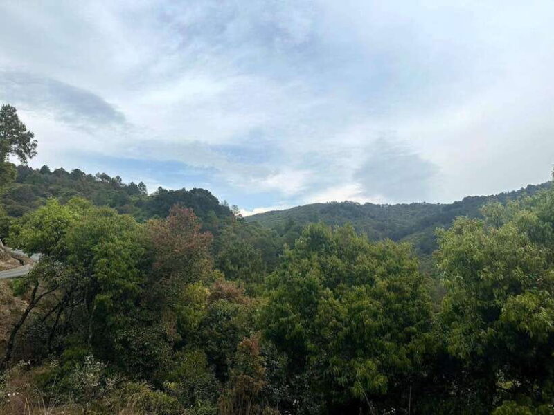 Kathmandu: Nagarkot Sunrise & Hiking to Changunarayan - Who Should Consider This Tour?