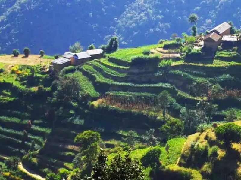 Kathmandu: Nagarkot Sunrise View Tour and Hike Changunarayan - An Honest Look at the Tour