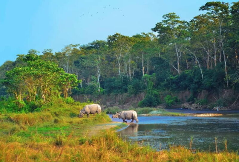 Kathmandu/Pokhara: 3 Day Chitwan Jungle Safari Tour - Who Should Consider This Tour?