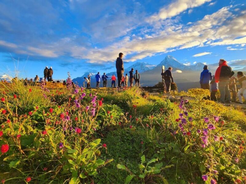 Kathmandu/Pokhara: 4-Day Mardi Himal Trek - The Experience Provider: MTA Trekking