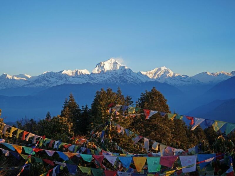 Kathmandu/Pokhara: 4-Day Mardi Himal Trek - Final Thoughts: Who Is This Trek Perfect For?