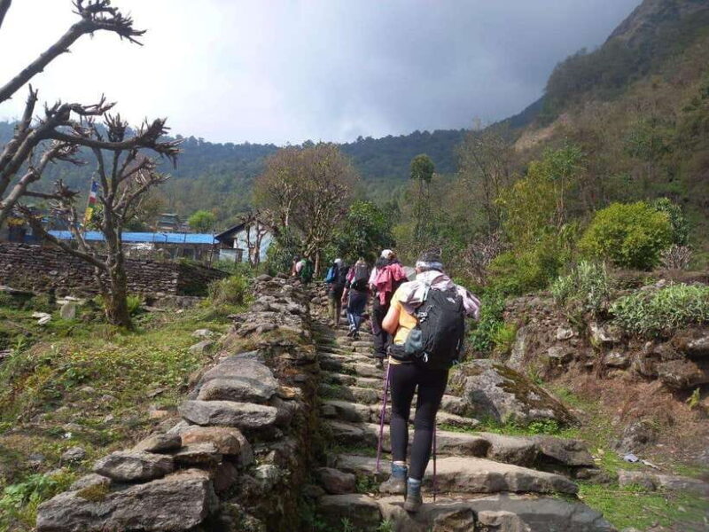 Kathmandu/Pokhara: 5-Day Annapurna Base Camp (ABC) Trek - Day 4: Descend from ABC to Bamboo/Sinuwa (Approx 6-7 hours)
