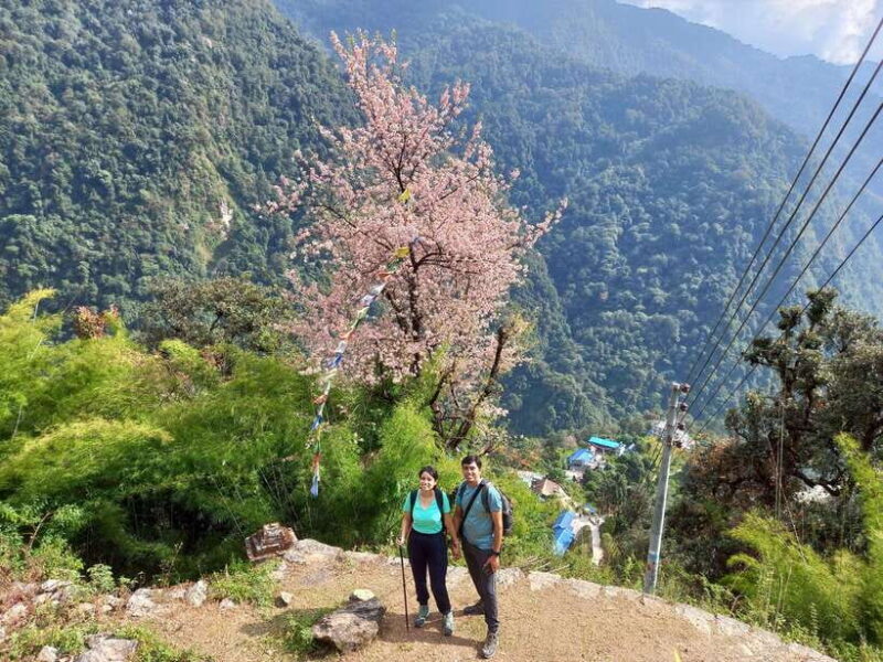 Kathmandu/Pokhara: 5-Day Annapurna Base Camp (ABC) Trek - Day 5: Final Trek to Jhinu Danda and Return to Pokhara