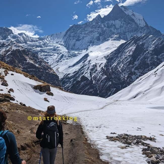 Kathmandu/Pokhara: 5-Day Annapurna Base Camp (ABC) Trek - The Trek’s Strengths: Why Travelers Rave About It