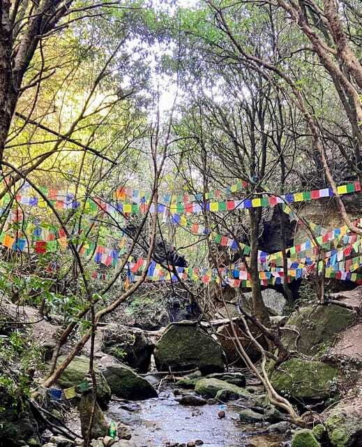 Kathmandu: Shivapuri Hill Day Hike with Lunch box - Authentic Experiences from Fellow Travelers