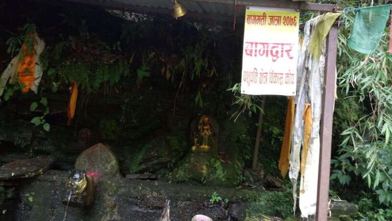Kathmandu: Shivapuri National Park Day Hike - Overall Value and Who It’s Best For
