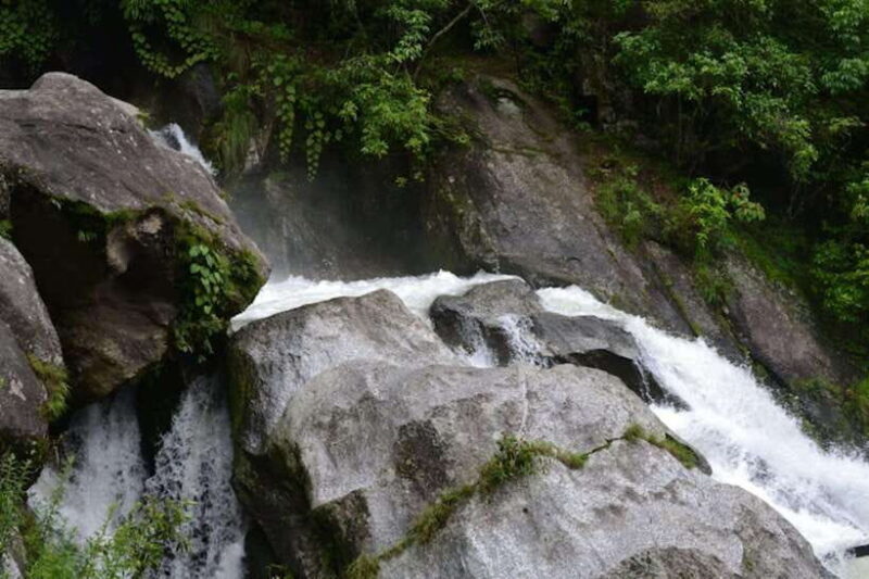 Kathmandu: Shivapuri National park Day Hiking - Final Thoughts: Who Should Consider This Tour?