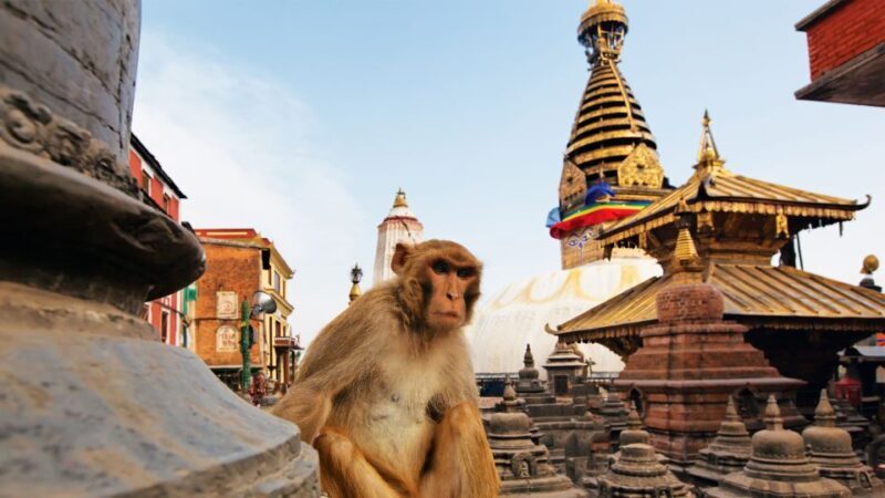 Kathmandu : Swambhunath & Durbar Square Guided Half Day Tour - Exploring the Sacred Heights of Swambhunath