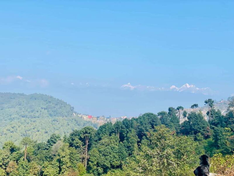 Kathmandu to Nagarkot Hike: Village Trails & Himalayan Views - An In-Depth Look at the Kathmandu to Nagarkot Hike
