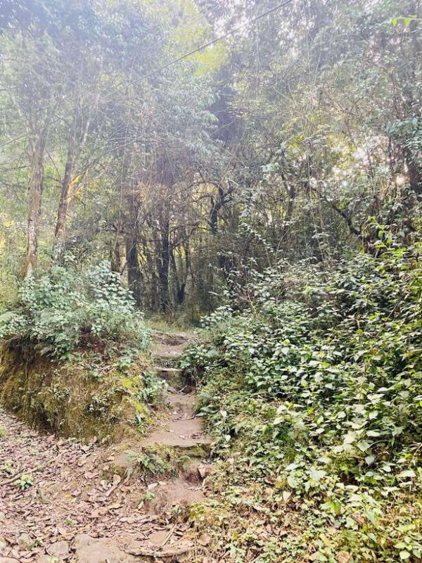 Kathmandu to Nagarkot Hike: Village Trails & Himalayan Views - Final Summary