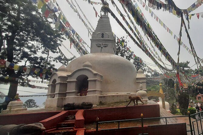 Kathmandu Valley Day Tour: 2 or 4 UNESCO Heritage Sites Option - Discovering Kathmandu’s UNESCO Heritage Sites