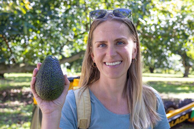 Katikati Avocado Adventure - Detailed Itinerary Breakdown