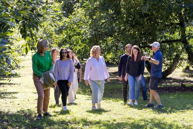 Katikati Gourmet Avocado Tasting - Value for Money and Booking Tips