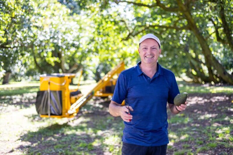 Katikati: Guided Gourmet Avocado Tour - Why This Tour Stands Out