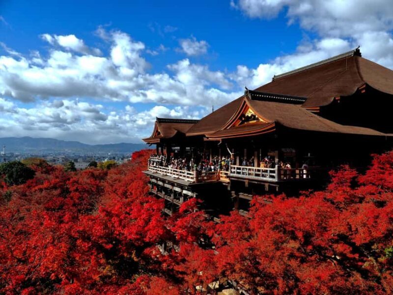 Katsuo-ji, Kyoto Kiyomizu-dera & Arashiyama Tour w/tea opt. - The Sum Up: Who Is This Tour Best For?
