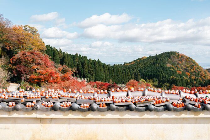 Katsuo-ji Temple, Minoh Waterfall, Arashiyama Forest, & Nara Park - The Itinerary in Detail