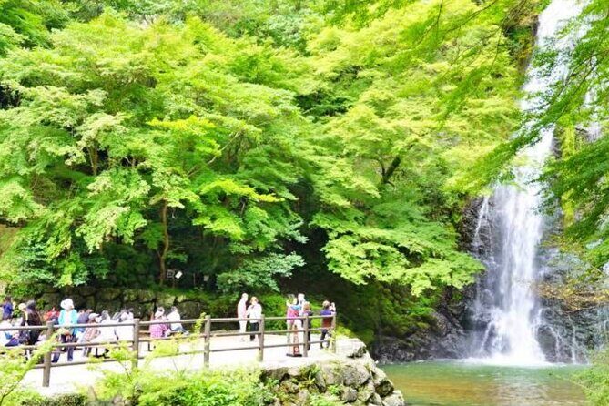 Katsuo-ji Temple, Minoh Waterfall, Arashiyama Forest, & Nara Park - Who Should Consider This Tour?