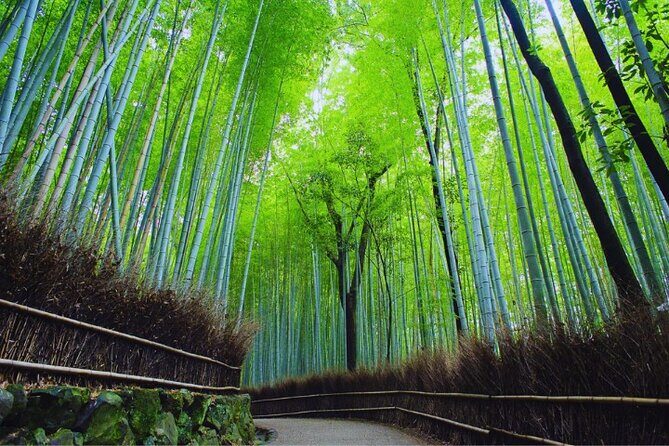 Katsuo-ji Temple, Minoh Waterfall, Arashiyama Forest, & Nara Park - FAQ: Practical Questions Answered