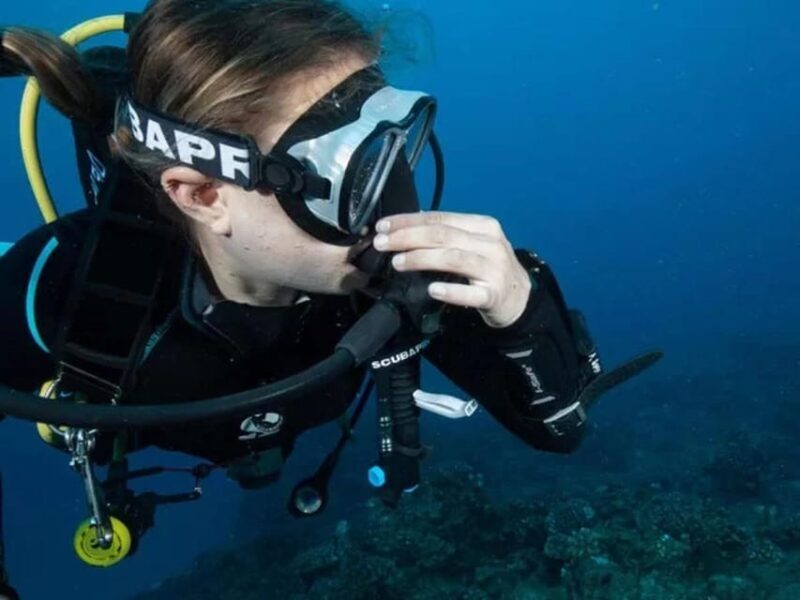 Kauai: 2 Tank Afternoon Dive - Authentic Experiences and Practical Tips