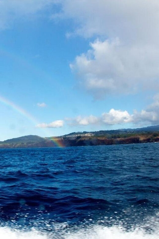Kauai: 3-Tank Boat Dive for Certified Divers - The Value of the Experience