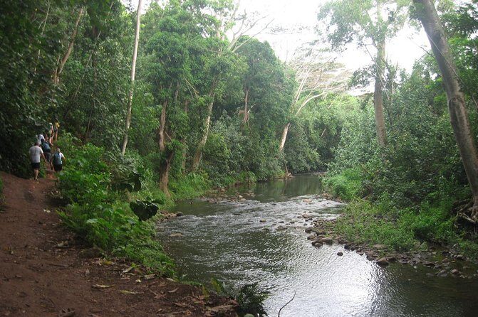 Kauai Adventure: Kayak & Hike to Secret Falls with Expert Guide - The Experience: What Youll Actually Do