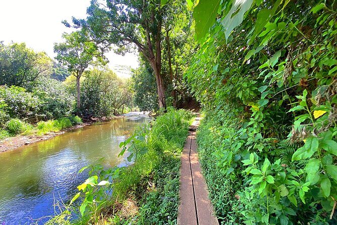 Kauai Adventure: Kayak & Hike to Secret Falls with Expert Guide - Who Will Love This Tour?