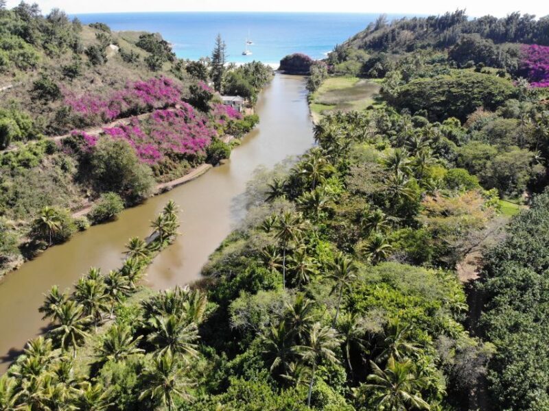 Kauai: Allerton Garden Guided Group Walking Tour - Exploring Allerton Garden: What to Expect