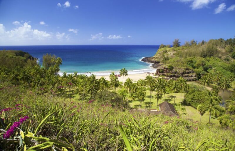 Kauai: Allerton Garden Guided Group Walking Tour - What Travelers Say