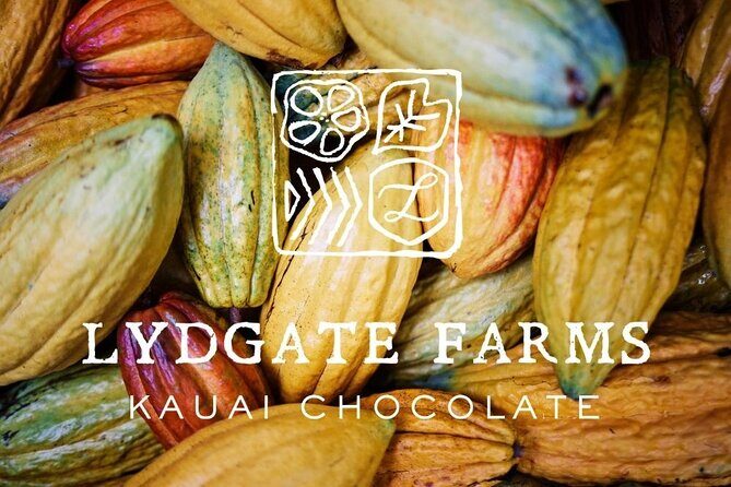 Kauai Chocolate Farm Tasting Tour - A Deep Dive Into the Kauai Chocolate Farm Tasting Tour