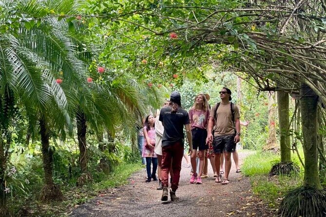Kauai Chocolate Farm Tasting Tour - The Sum Up