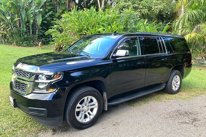 Kauai Cruise Ship Roundtrip Excurision Transfers - The Ride: Comfort Meets Reliability